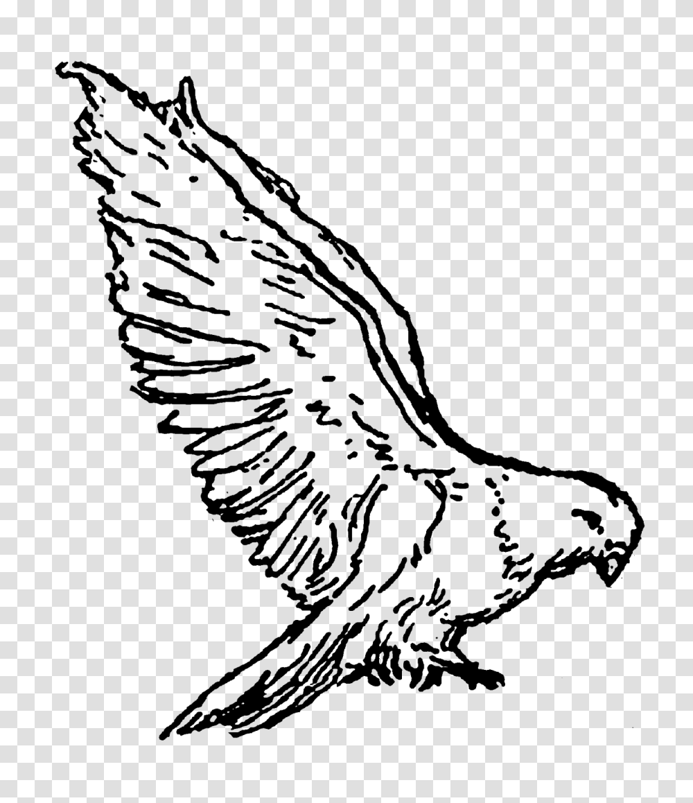 Digital Stamp Design Stock Bird Illustrations Digital Doves, Nature, Outdoors, Outer Space, Astronomy Transparent Png
