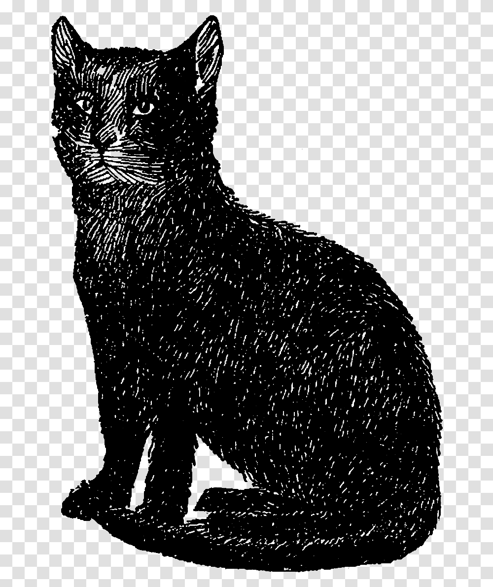 Digital Stamp Design Vintage Black Cat Clipart, Nature, Outdoors, Outer Space, Astronomy Transparent Png