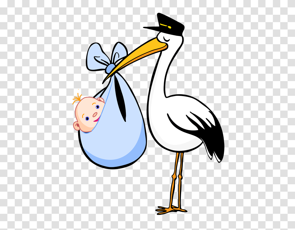 Digital Stamping Baby Baby, Bird, Animal, Pelican, Stork Transparent Png