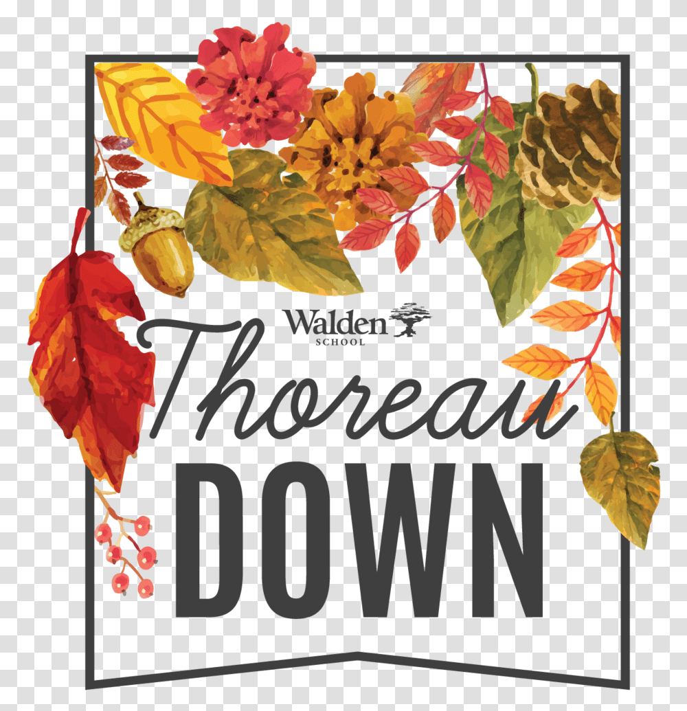 Digital Thoreau Down 2019 Logo Background Poinsettia, Leaf, Plant, Floral Design, Pattern Transparent Png