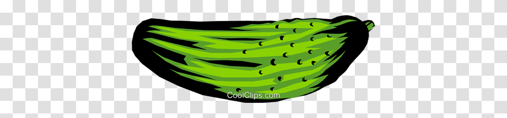 Dill Pickles Royalty Free Vector Clip Art Illustration, Plant, Vegetable, Food, Produce Transparent Png