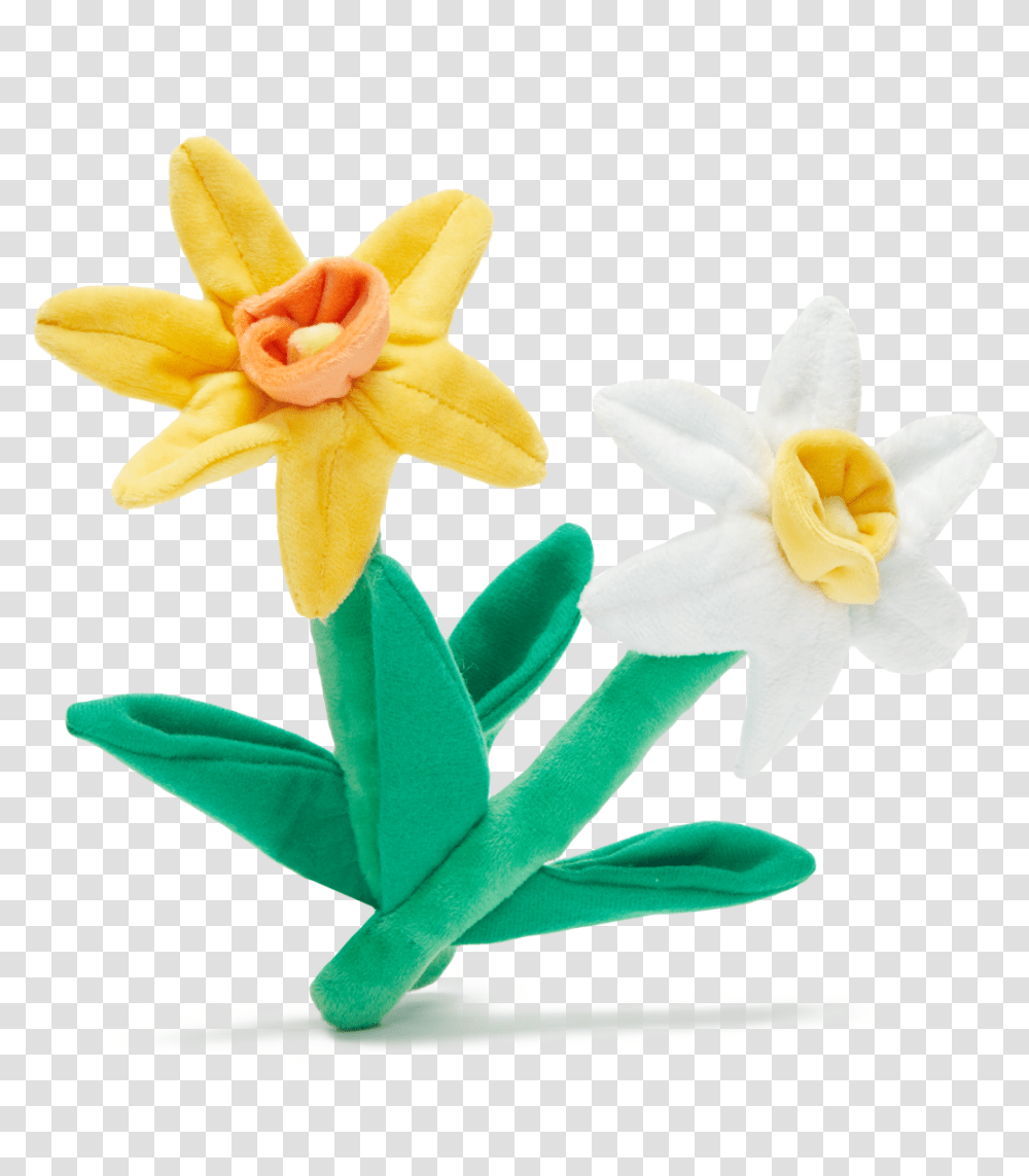 Dilly Dally Daffodils - Barkshop Lovely, Plant, Flower, Blossom, Amaryllidaceae Transparent Png