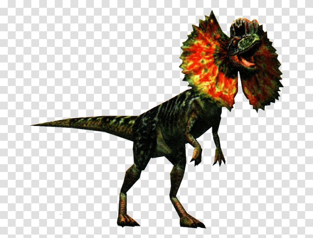 Dilophosaurus Dilophosaurus, Dinosaur, Reptile, Animal, T-Rex Transparent Png