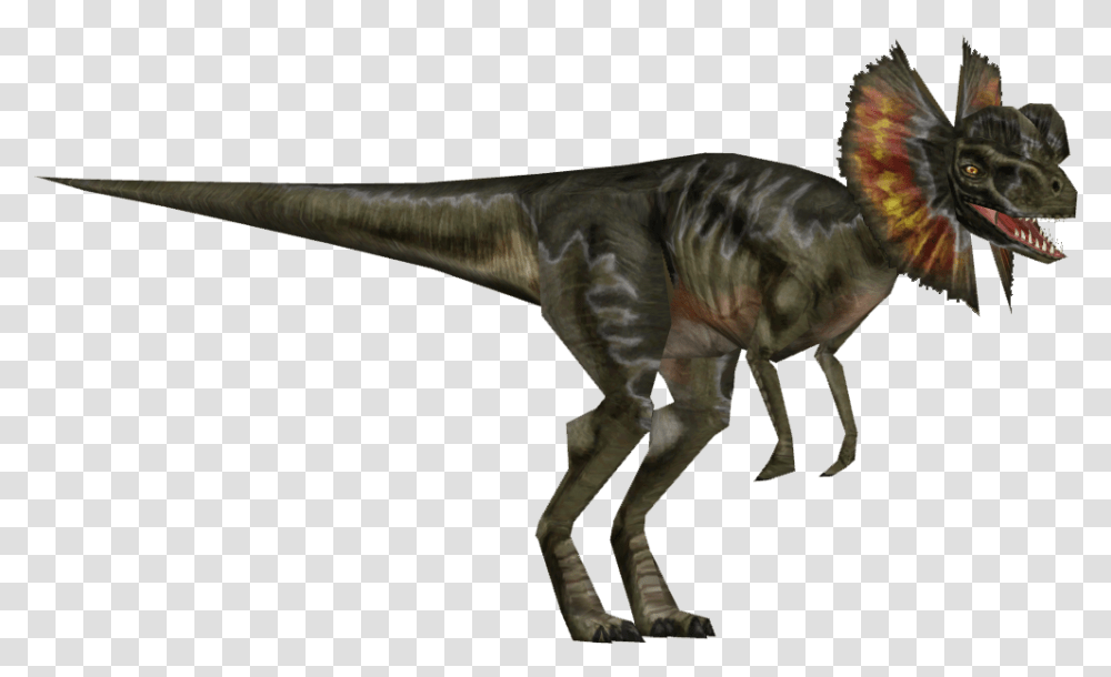 Dilophosaurus Jurassic Park Download Dilophosaurus, Dinosaur, Reptile, Animal, T-Rex Transparent Png