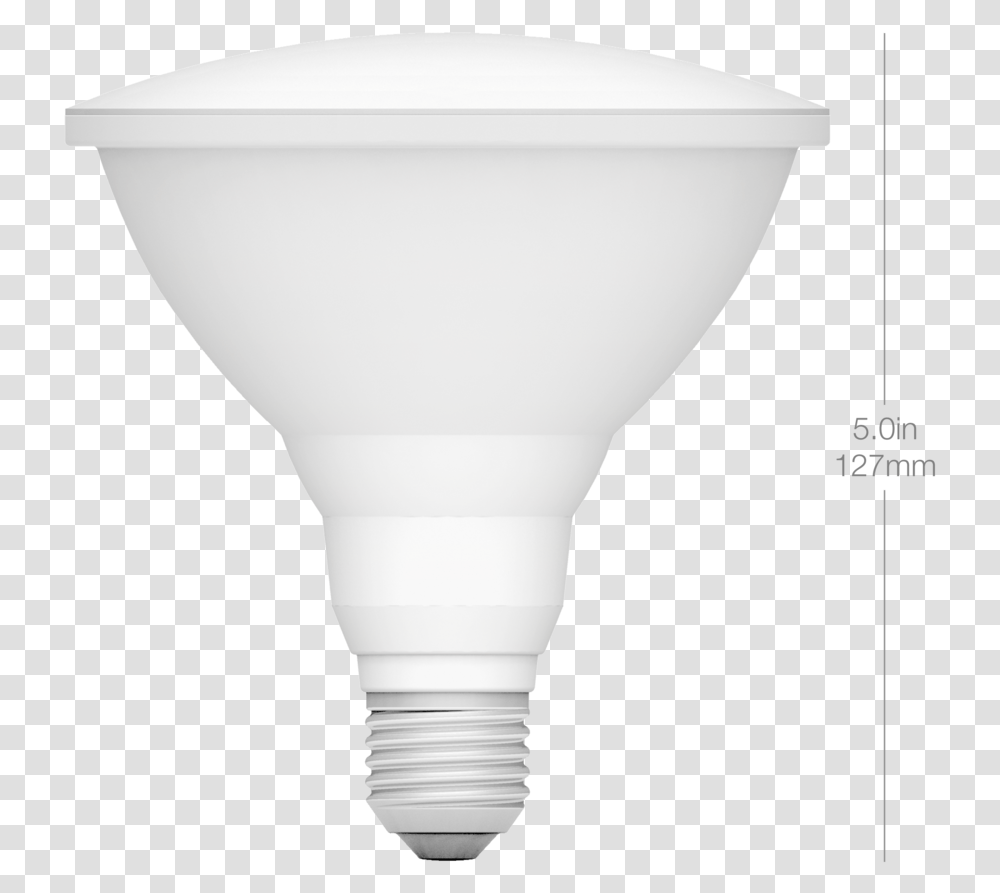 Dimensions Par38 Front Compact Fluorescent Lamp, Light, Cone, Animal Transparent Png