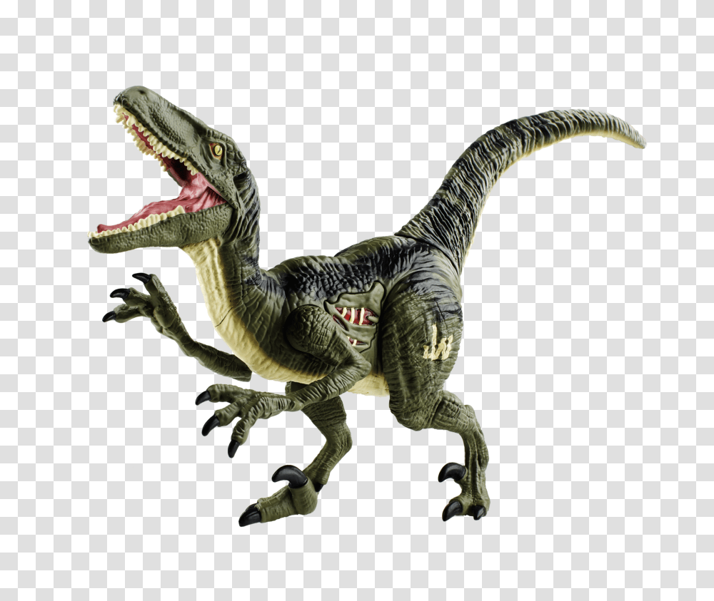 Dimorphodon Velociraptor Tyrannosaurus Jurassic Park Action Toy, Dinosaur, Reptile, Animal, T-Rex Transparent Png
