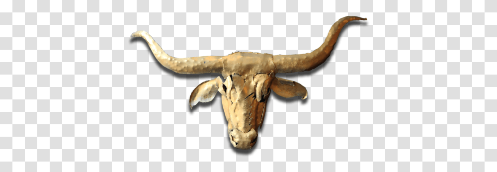 Dina S Ellicottville Bull, Animal, Fungus, Mammal, Cattle Transparent Png