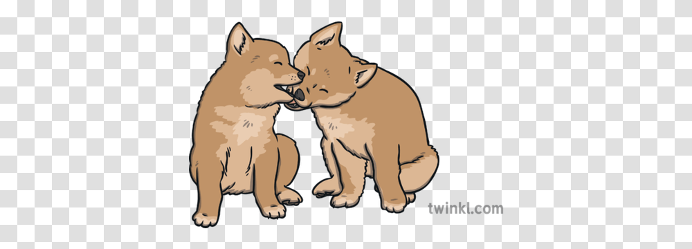 Dingo Puppies Illustration Twinkl Animal Figure, Mammal, Wildlife, Canine, Pet Transparent Png
