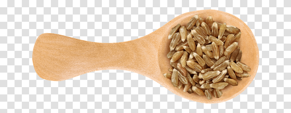 Dinkel Wheat, Plant, Food, Vegetable, Grain Transparent Png