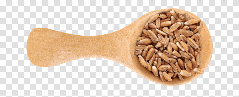 Dinkel Wheat, Plant, Grain, Produce, Vegetable Transparent Png