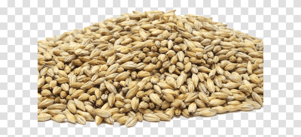 Dinkel Wheat, Plant, Vegetable, Food, Produce Transparent Png