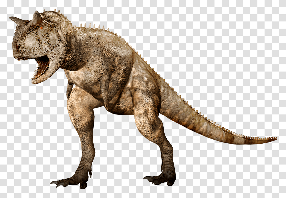 Dino Large Horns, Fantasy, T-Rex, Dinosaur, Reptile Transparent Png