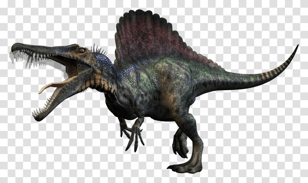 Dino Large Spino, Fantasy, Dinosaur, Reptile, Animal Transparent Png