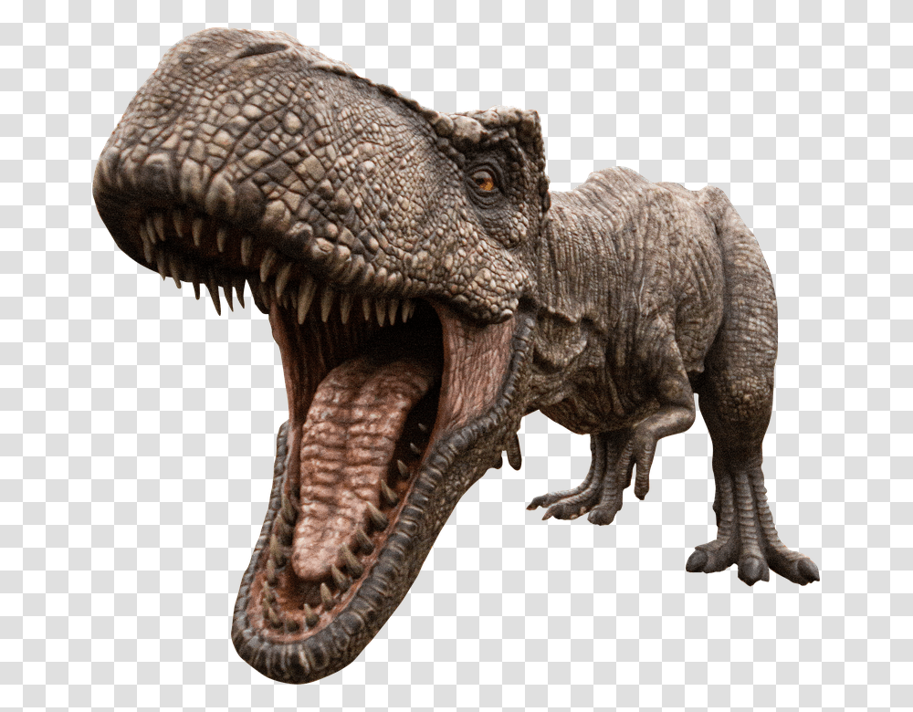 Dino Park, Dinosaur, Reptile, Animal, T-Rex Transparent Png