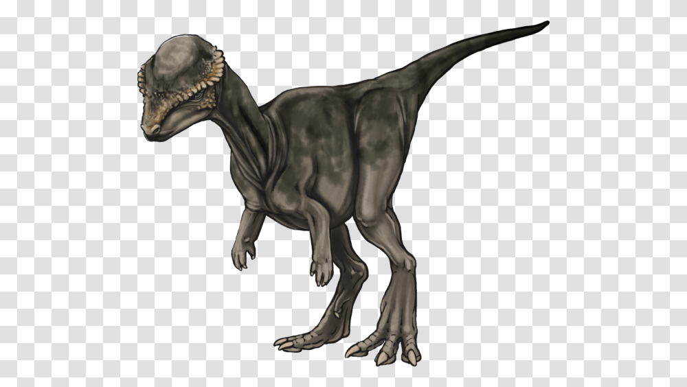 Dinos Of The Peace Region, Dinosaur, Reptile, Animal, T-Rex Transparent Png