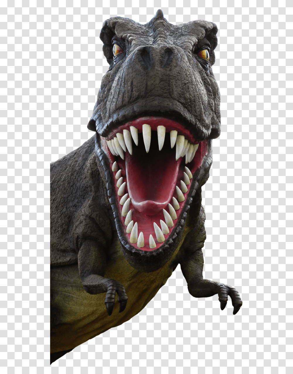 Dinosaur 002 By Fantasy, T-Rex, Reptile, Animal Transparent Png