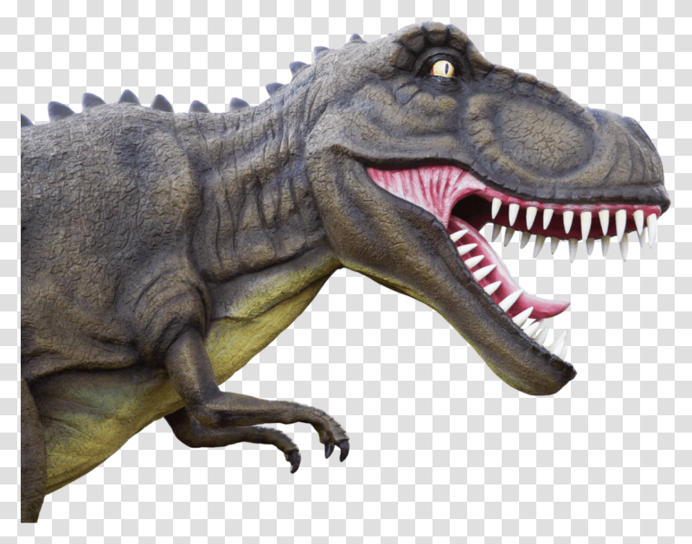 Dinosaur 003 By Fantasy, Reptile, Animal, T-Rex Transparent Png