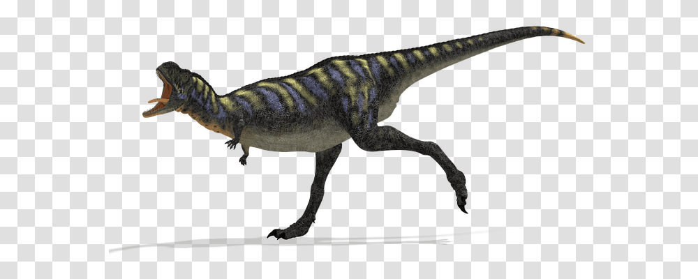 Dinosaur Animals, Reptile, T-Rex, Lizard Transparent Png