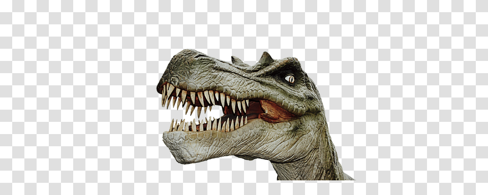 Dinosaur Animals, Reptile, T-Rex, Lizard Transparent Png