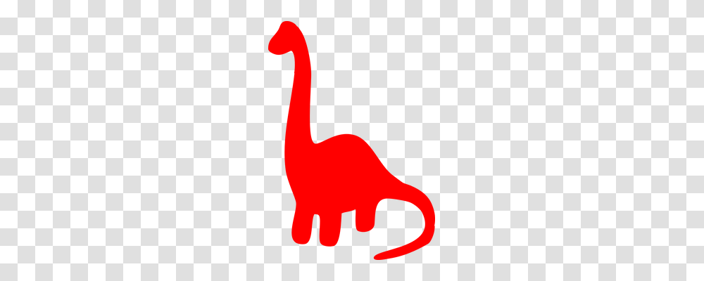 Dinosaur Animals, Bird, Flamingo, Leisure Activities Transparent Png