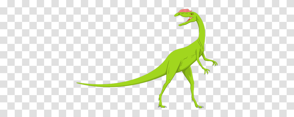 Dinosaur Nature, T-Rex, Reptile, Animal Transparent Png