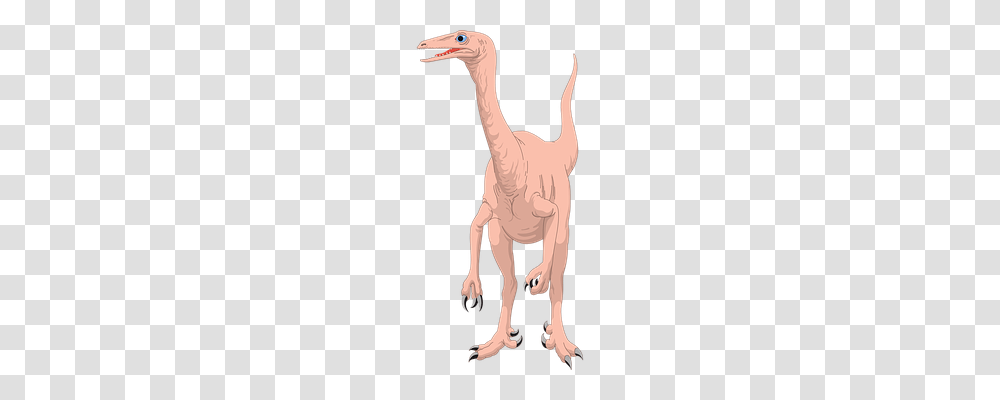 Dinosaur Nature, Mammal, Animal, Person Transparent Png