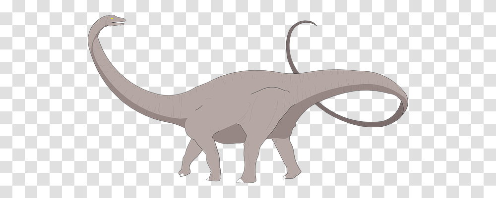 Dinosaur Reptile, Animal, T-Rex, Mammal Transparent Png