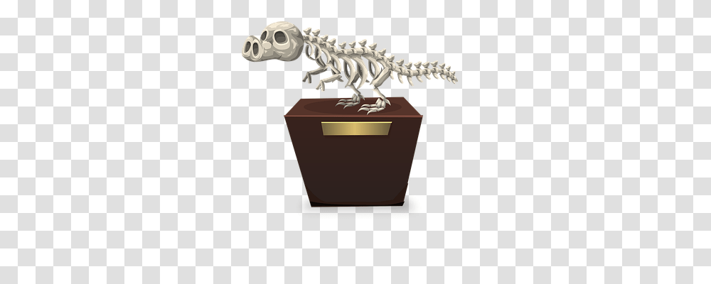 Dinosaur Animals, Reptile, Skeleton Transparent Png