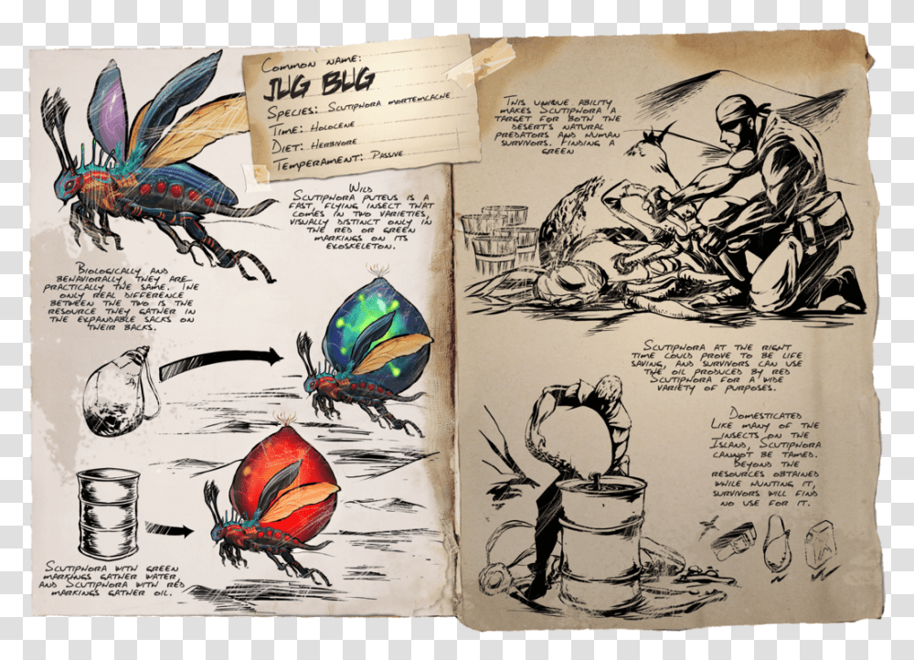 Dinosaur Ark Survival Evolved, Bird, Animal, Drawing Transparent Png