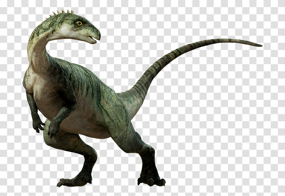Dinosaur Background Dinosaur, Reptile, Animal, T-Rex Transparent Png
