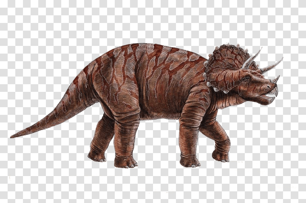 Dinosaur Background Dinosaur Transparent Png