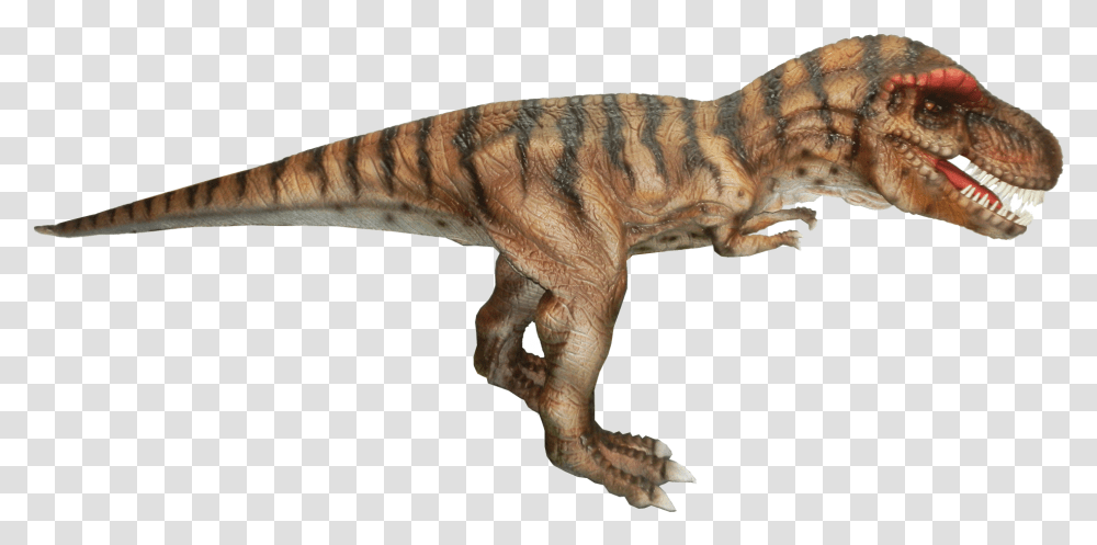 Dinosaur Background, Reptile, Animal, T-Rex Transparent Png