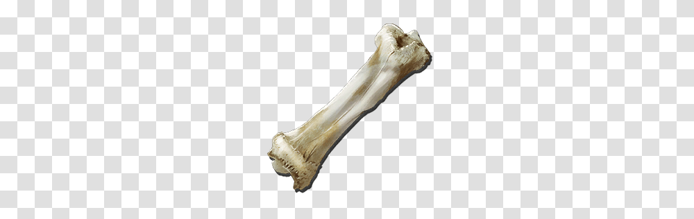 Dinosaur Bone, Axe, Tool, Plant, Fungus Transparent Png