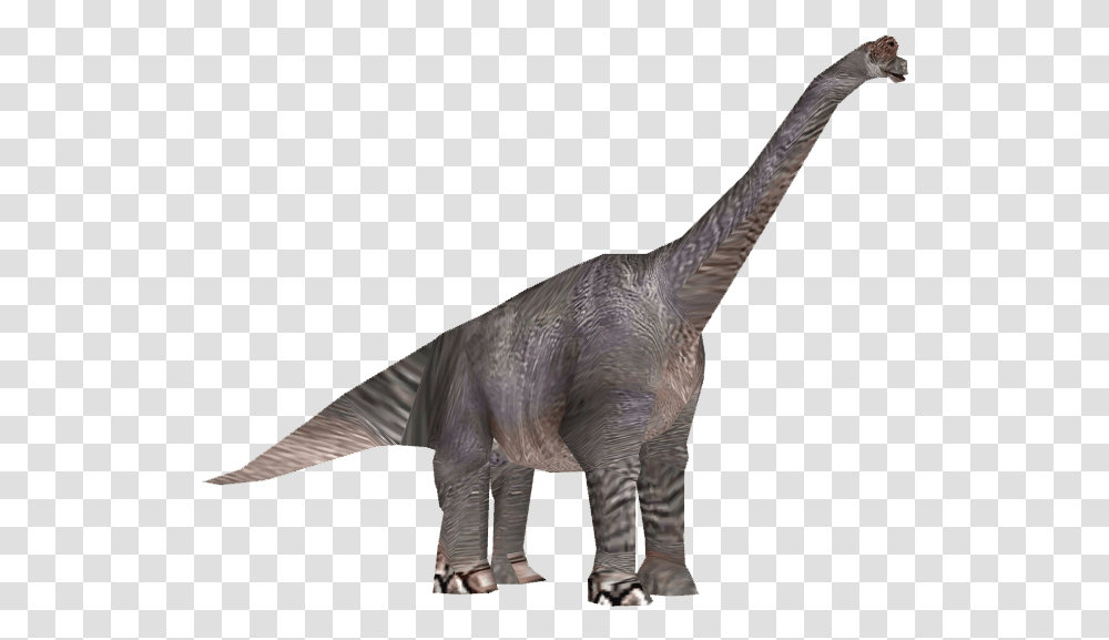 Dinosaur Brachiosaurus, Reptile, Animal, T-Rex, Bird Transparent Png