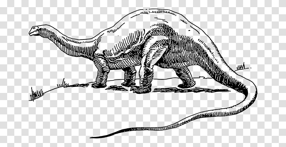 Dinosaur Brontosaurus, Animals, Gray, World Of Warcraft Transparent Png