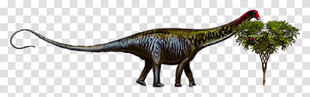 Dinosaur Brontosaurus Brontosaurus Is Back, Reptile, Animal, Lizard, T-Rex Transparent Png