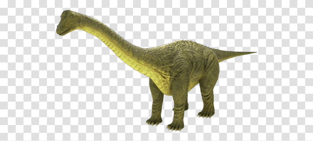 Dinosaur Brontosaurus Real, Reptile, Animal, T-Rex, Bird Transparent Png