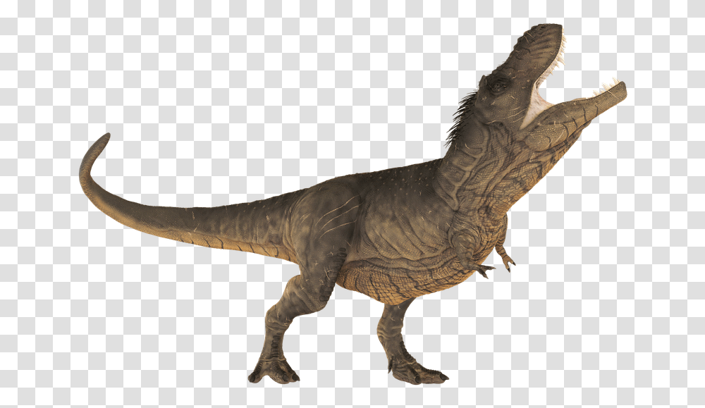 Dinosaur Calendar 2019 Printable, Reptile, Animal, T-Rex Transparent Png