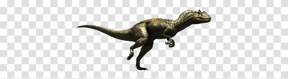 Dinosaur Ceratosaurus Jurassic Battle, Lizard, Reptile, Animal, T-Rex Transparent Png