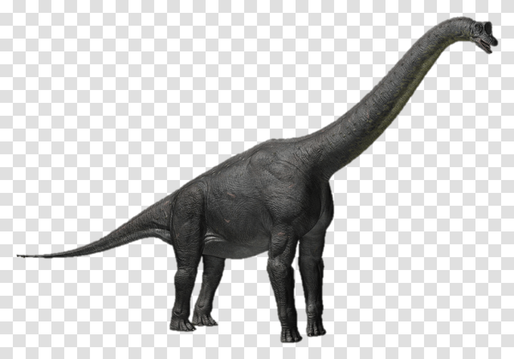 Dinosaur Clash Of The Dinosaurs Sauroposeidon, Reptile, Animal, T-Rex, Elephant Transparent Png