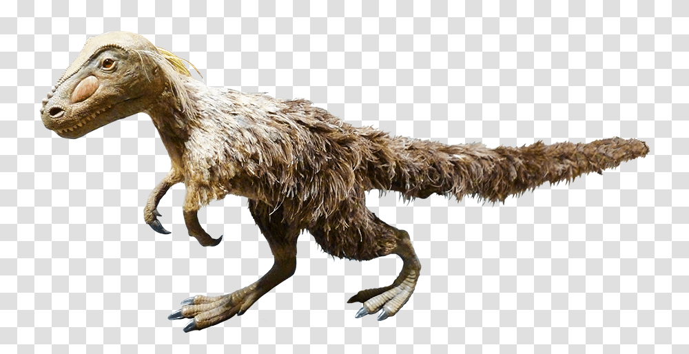 Dinosaur Clipart And Jokes Feathered Dinosaurs No Background, Animal, Reptile, Dog, Pet Transparent Png
