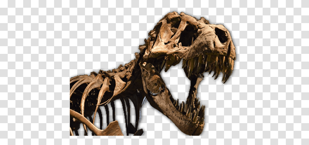 Dinosaur Clipart Free Fossil, Reptile, Animal, T-Rex Transparent Png