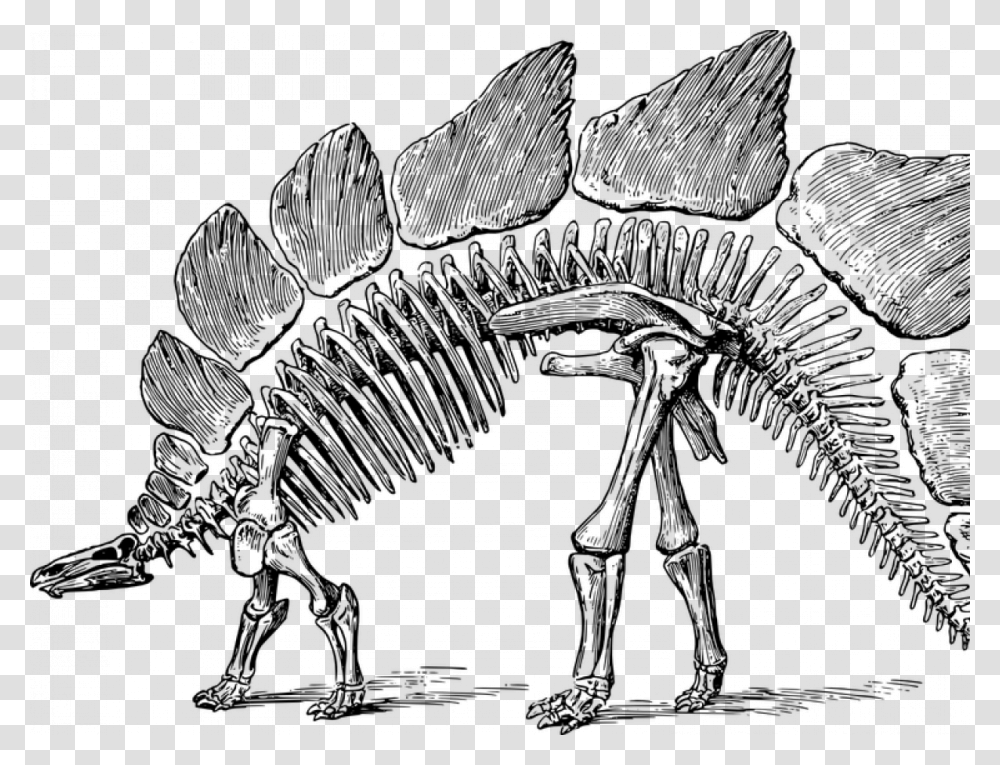 Dinosaur Dinosaur Skeleton Clipart, Gray, World Of Warcraft Transparent Png