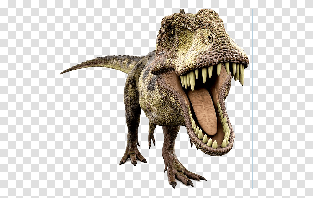 Dinosaur Dinosaurus T Rex, T-Rex, Reptile, Animal Transparent Png