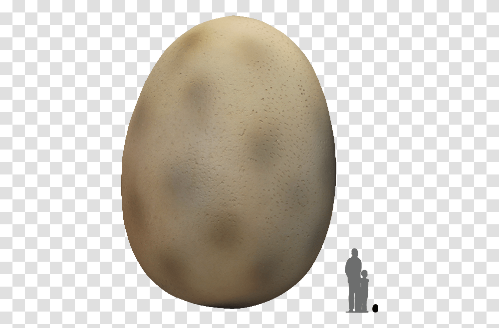 Dinosaur Egg, Food, Moon, Outer Space, Night Transparent Png