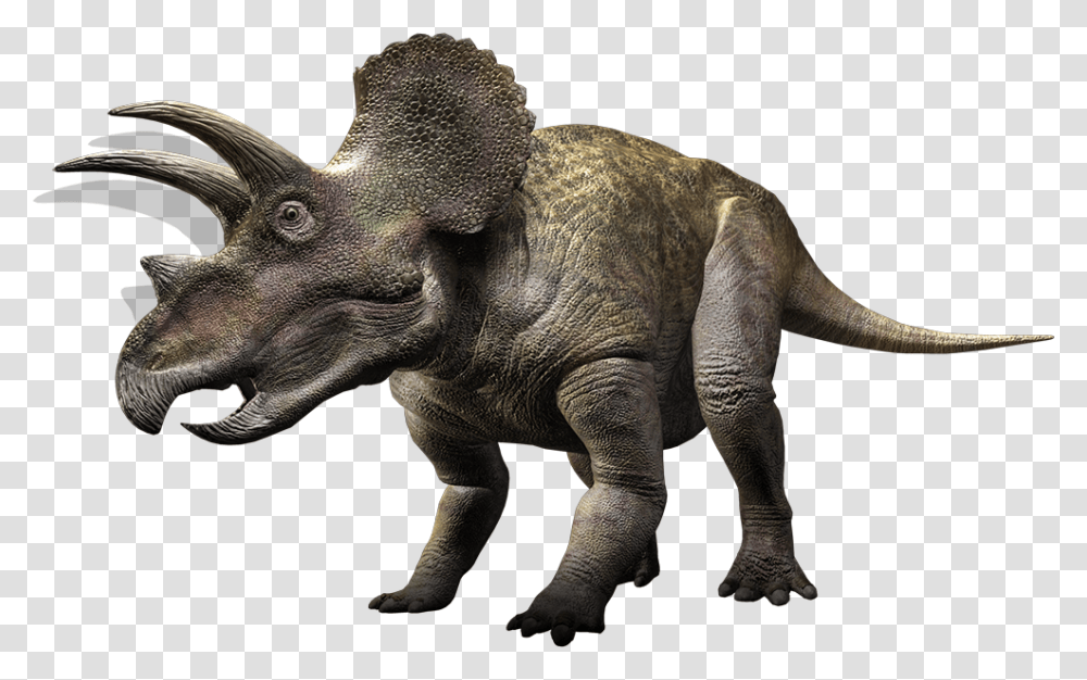 Dinosaur, Fantasy, Elephant, Wildlife, Mammal Transparent Png