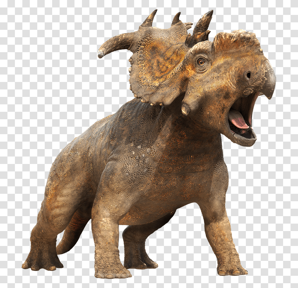 Dinosaur, Fantasy, Lion, Wildlife, Mammal Transparent Png