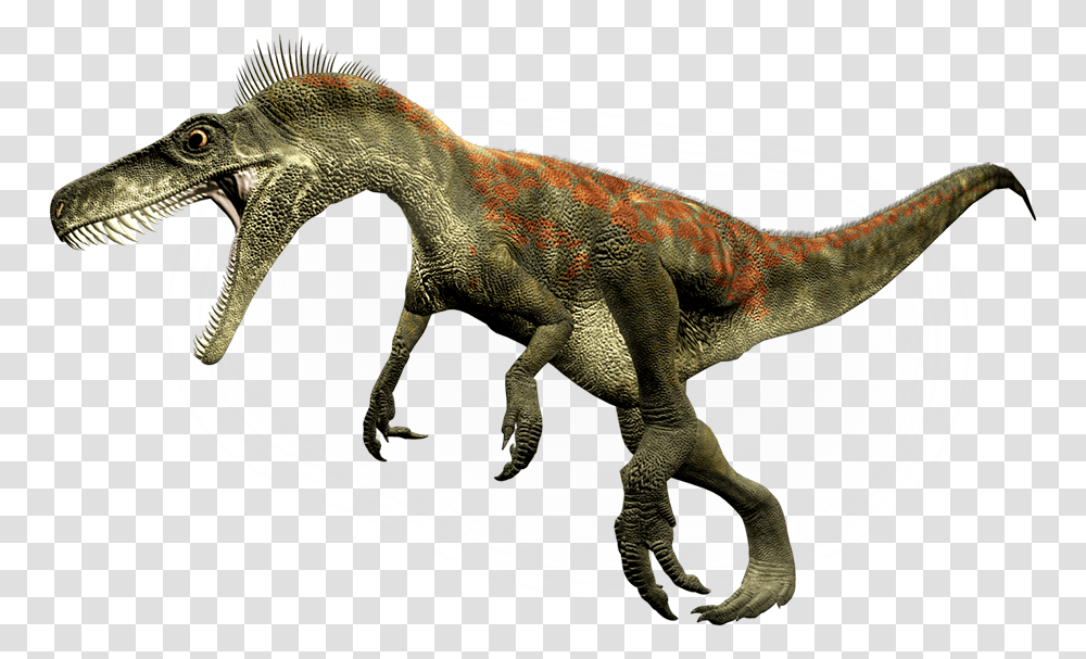 Dinosaur, Fantasy, Reptile, Animal, Bird Transparent Png