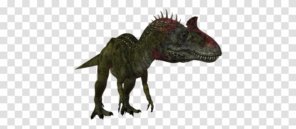 Dinosaur, Fantasy, Reptile, Animal, T-Rex Transparent Png