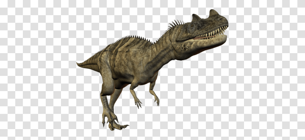 Dinosaur, Fantasy, Reptile, Animal, T-Rex Transparent Png